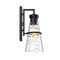 Designers Fountain Field Daisy Lane Black Outdoor Hardwired Wall Sconce D327M-14EW-BK - alternate 5